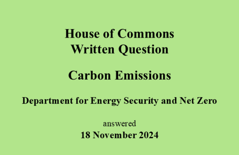 WQ Carbon Emissions 18Nov24